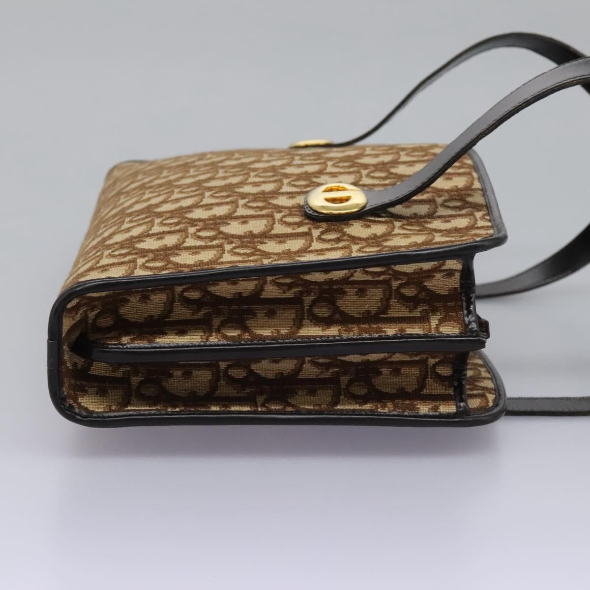 Christian Dior Trotter Canvas Brown Canvas Handbag ()