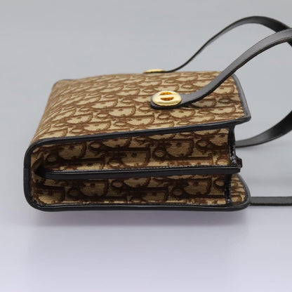 Christian Dior Trotter Canvas Brown Canvas Handbag ()