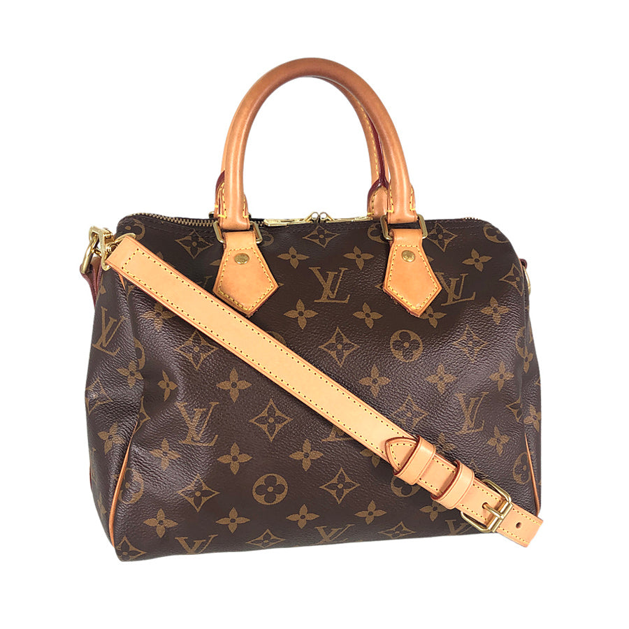 LOUIS VUITTON 2WAY Shoulder Handbag