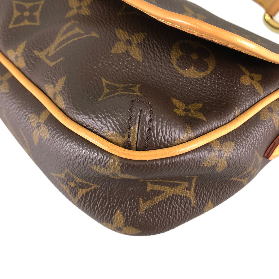 LOUIS VUITTON Shoulder Bag