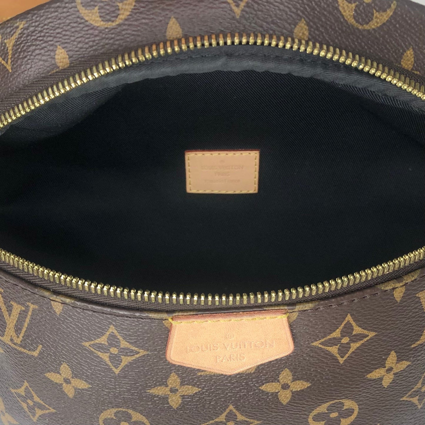 Louis Vuitton Monogram Bumbag