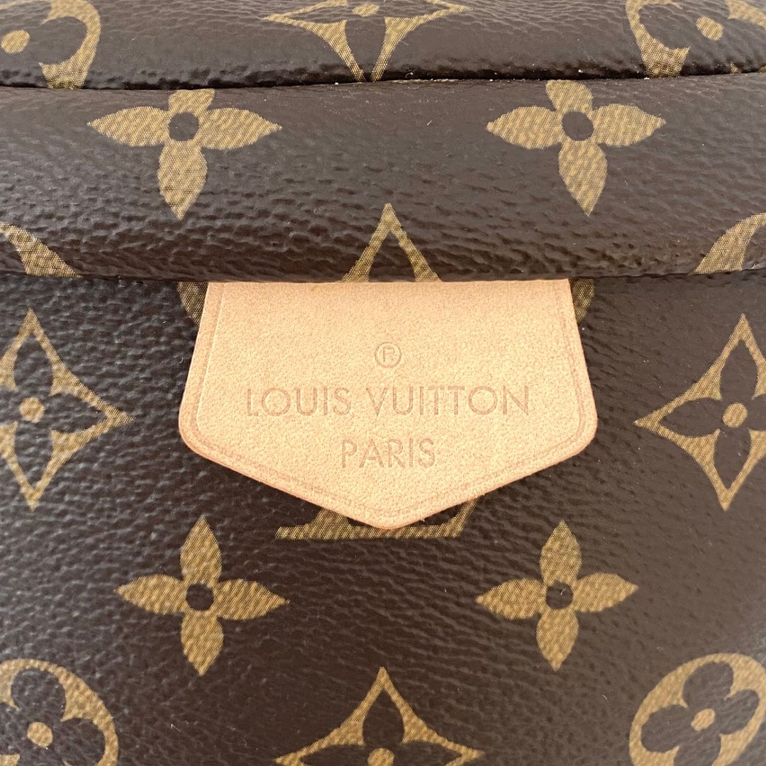 Louis Vuitton Monogram Bum Bag