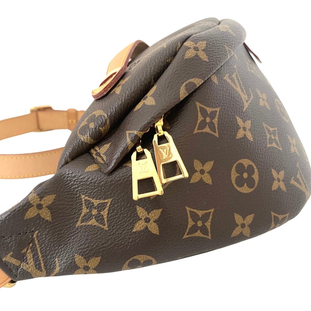 Louis Vuitton Monogram Bum Bag