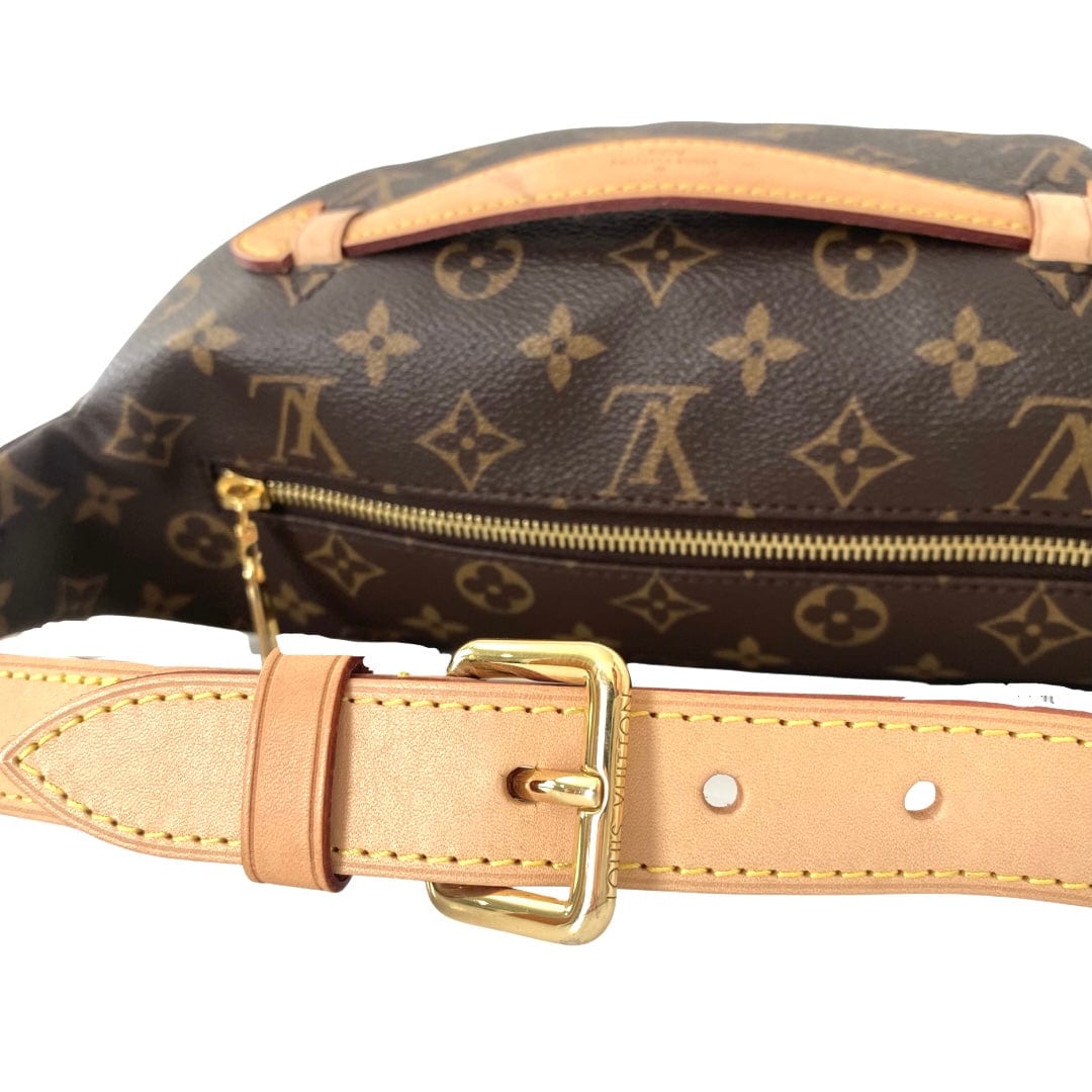 Louis Vuitton Monogram Bum Bag