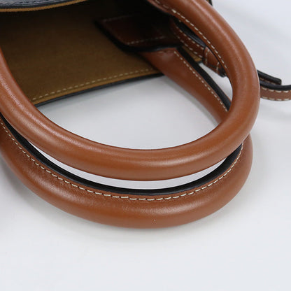 CELINE 19743 2BZK 04LU Mini vertical hippopotamus Triomphe canvas Handbag PVC